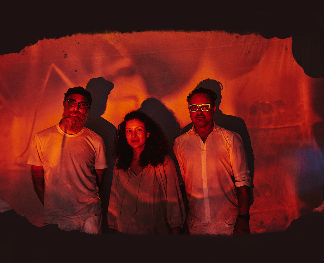 Announcing Arthur King - 'Changing Landscapes (Zompopa)'