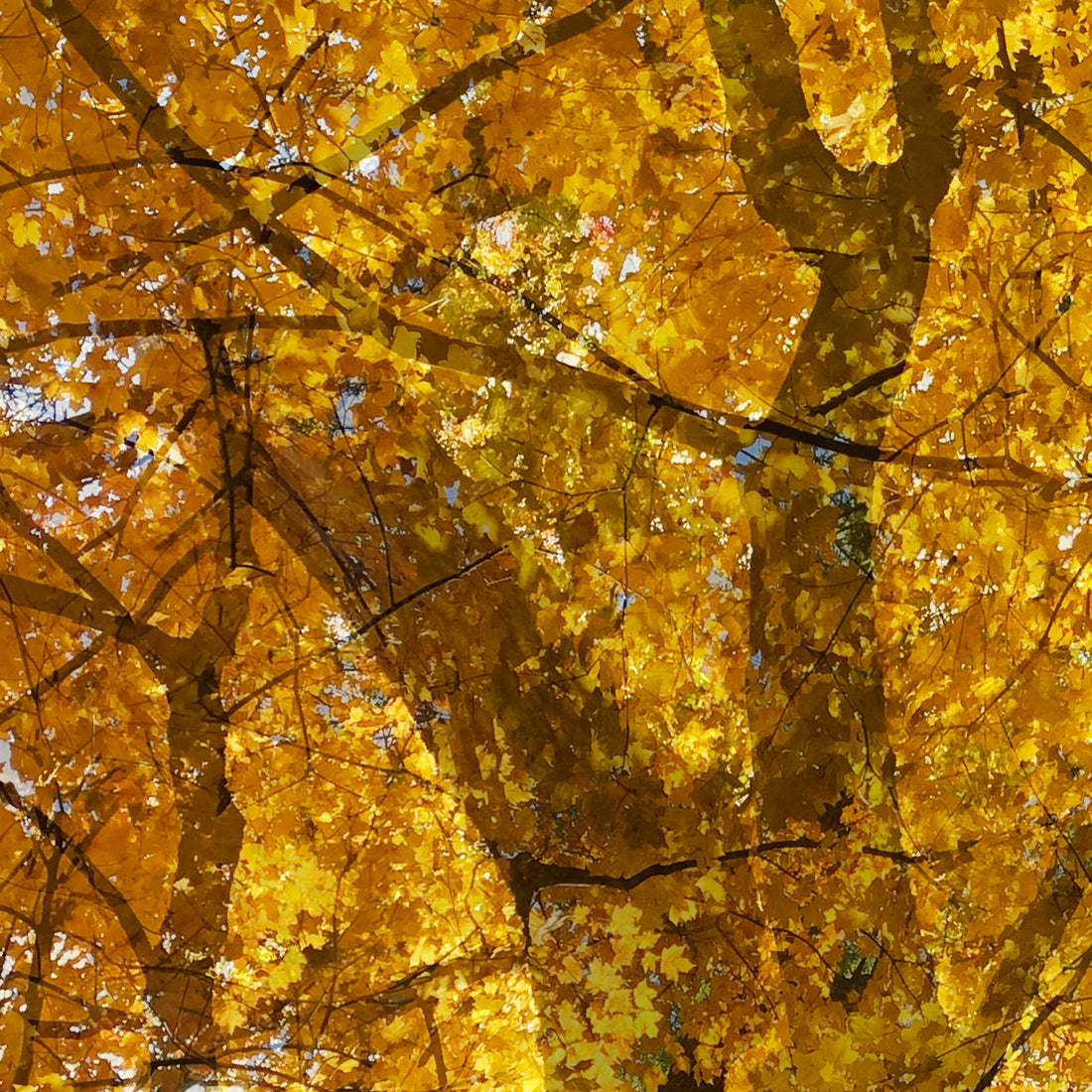 Howe Gelb Releases 'Weathering Some Piano'