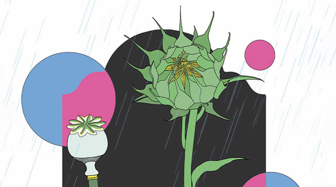 Unknown Movie Night (01.10.24)