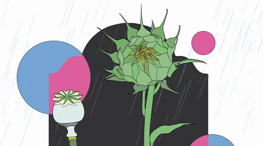 Unknown Movie Night (01.10.24)