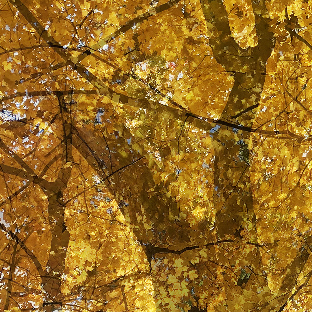 Announcing Howe Gelb - 'Weathering Some Piano'