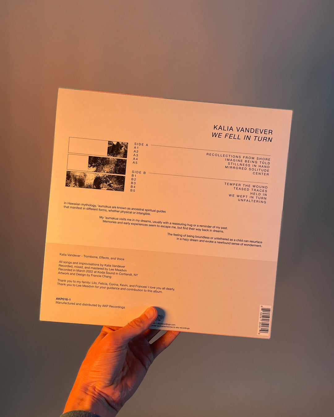 Kalia Vandever - We Fell In Turn - Vinyl LP (2025 Repress)