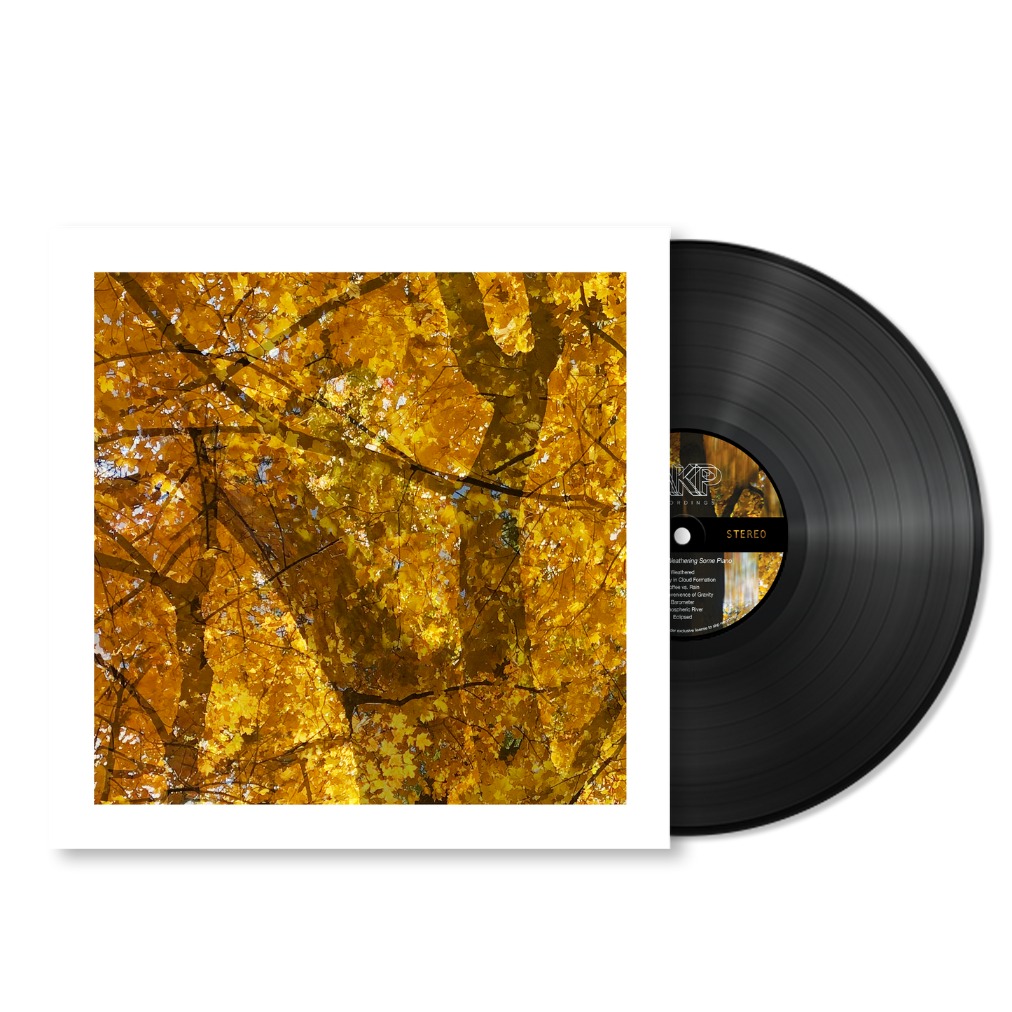 Howe Gelb - Weathering Some Piano - Vinyl LP