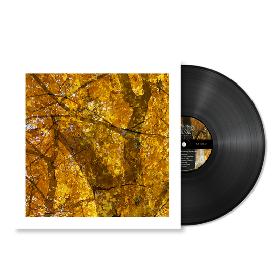 Howe Gelb - Weathering Some Piano - Vinyl LP