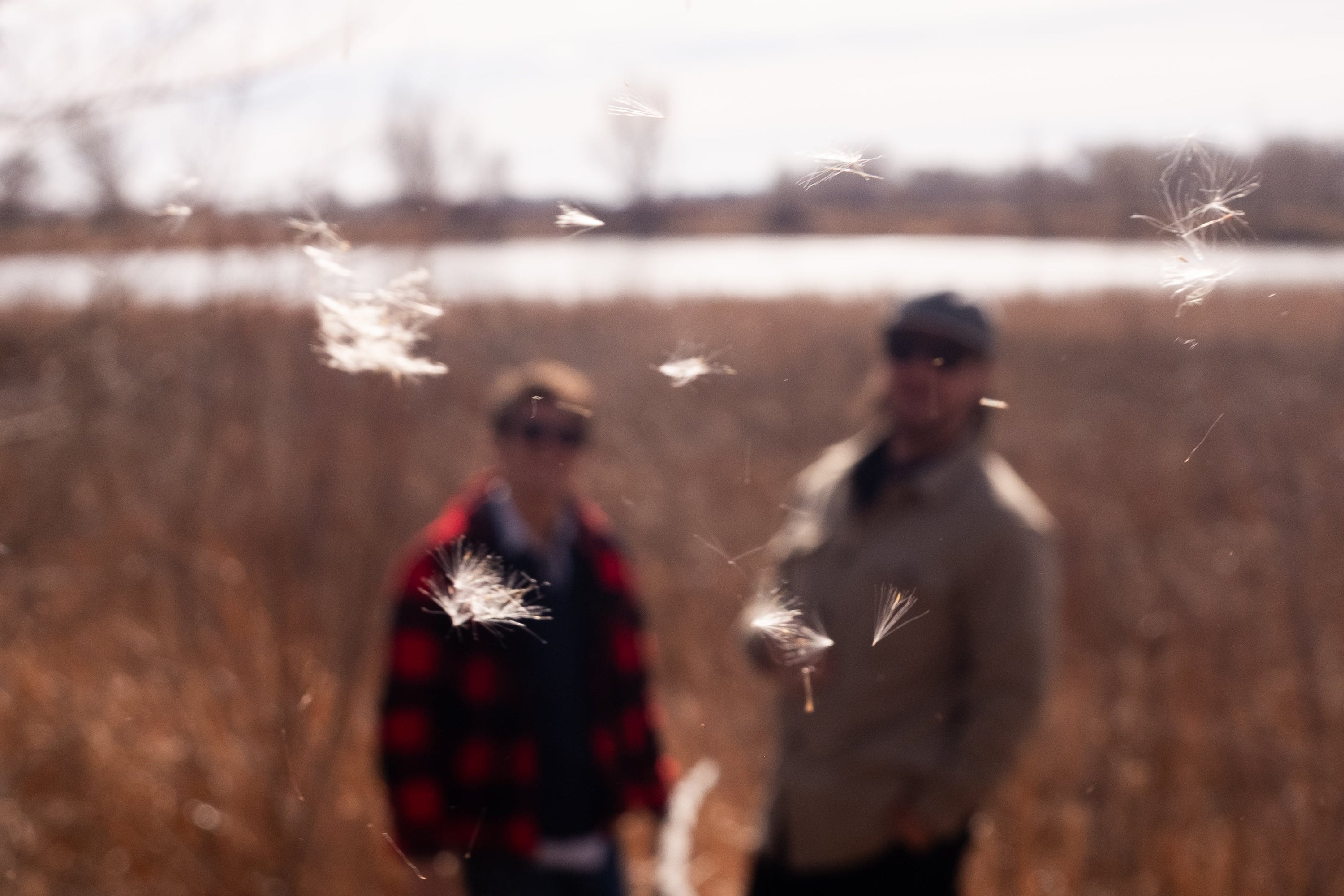 Prymek & Sage Announce 'Shelter'