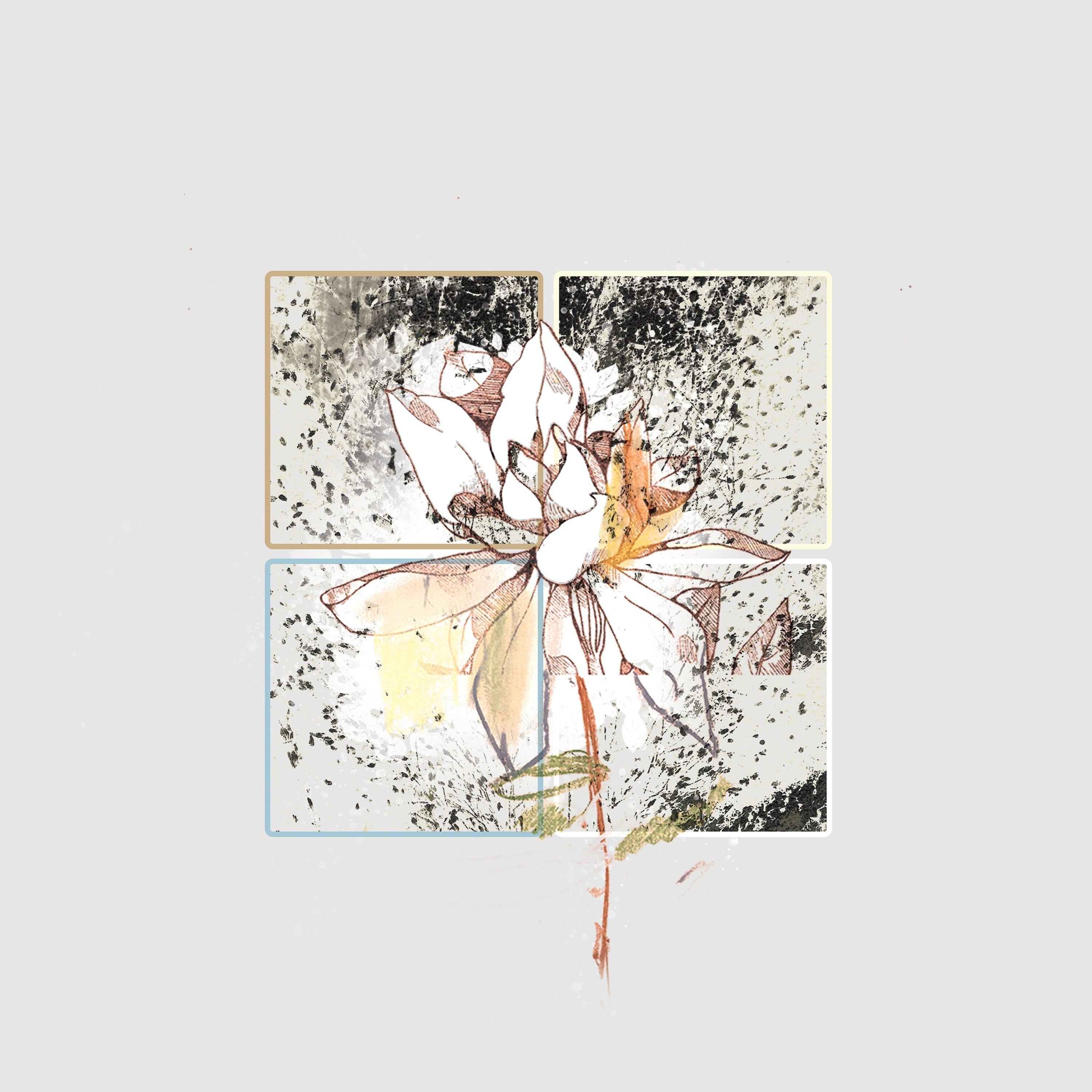 bu.re_ releases 'seasons in migration'