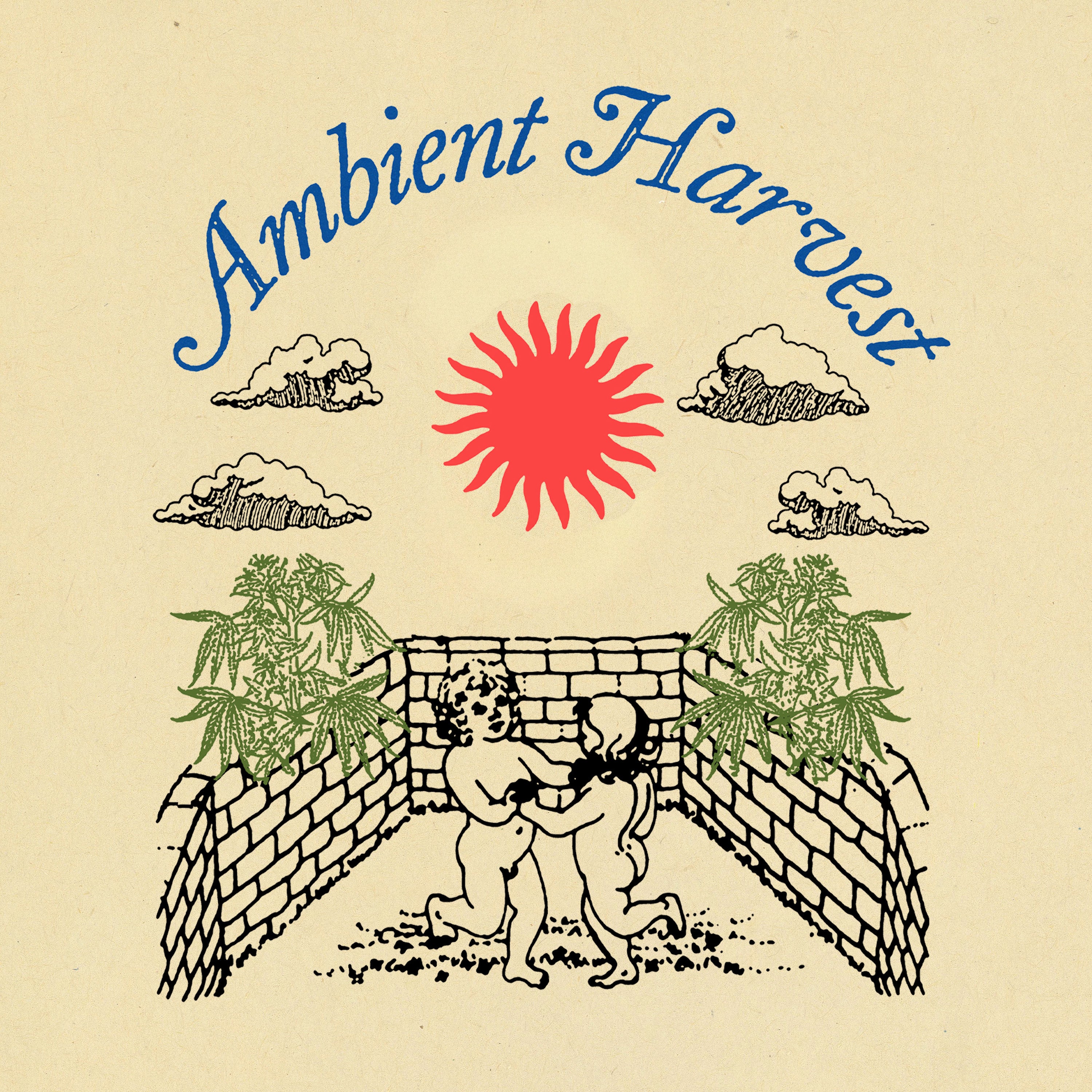 Arthur King - Ambient Harvest Vol. 2 Stereo/Quad Immersive Cassette
