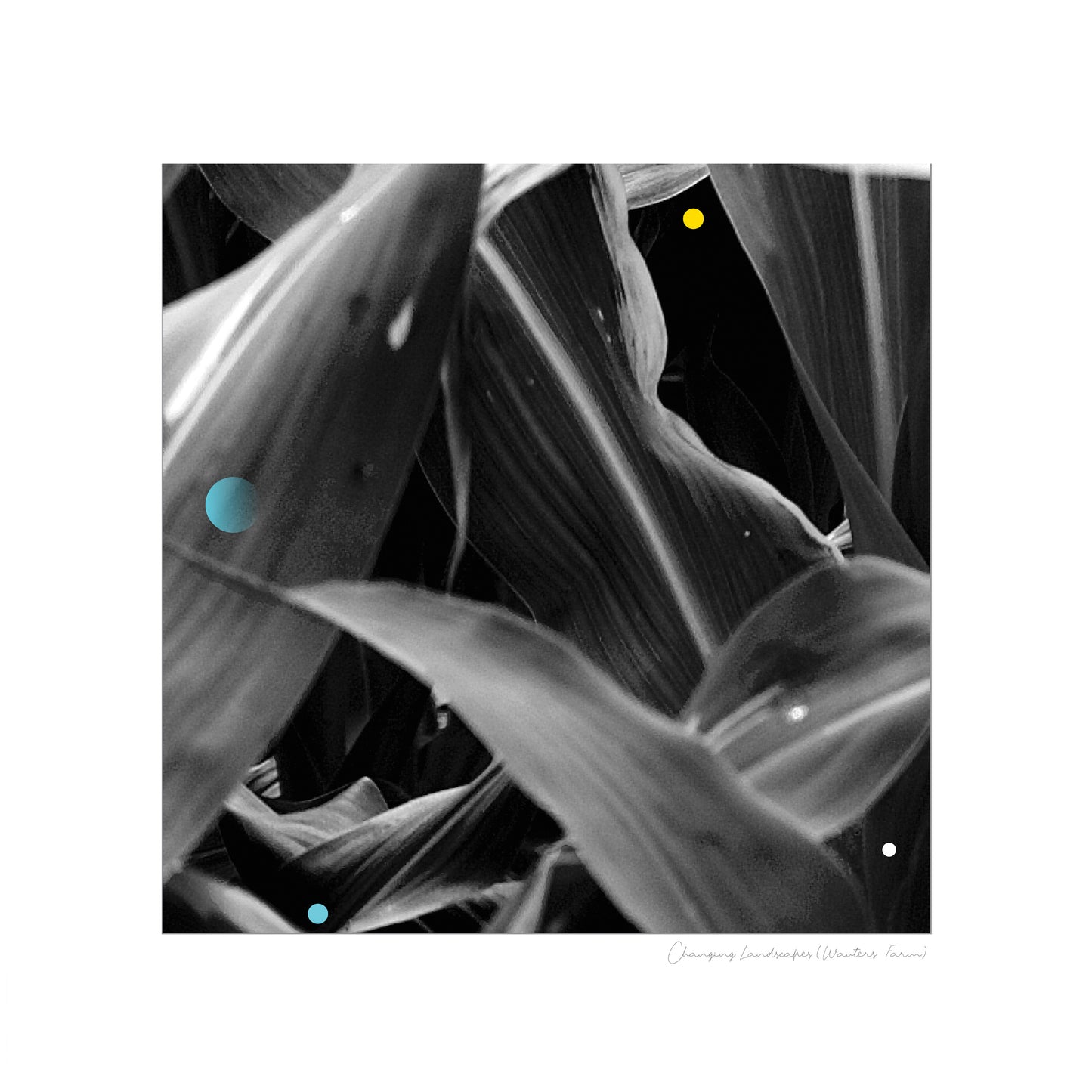 Arthur King - Changing Landscapes (Wauters Farm) - Black LP