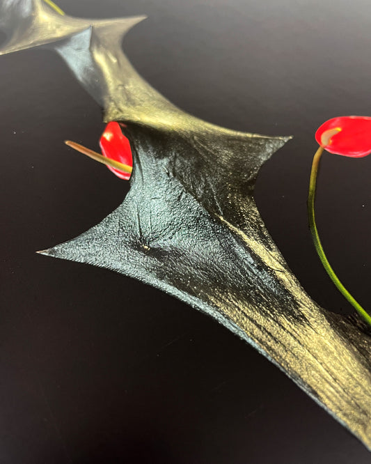 Chris Williams - Odu: Vibration II - Vinyl LP (Black)