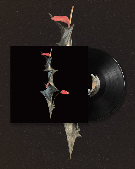 Chris Williams - Odu: Vibration II - Vinyl LP (Black)